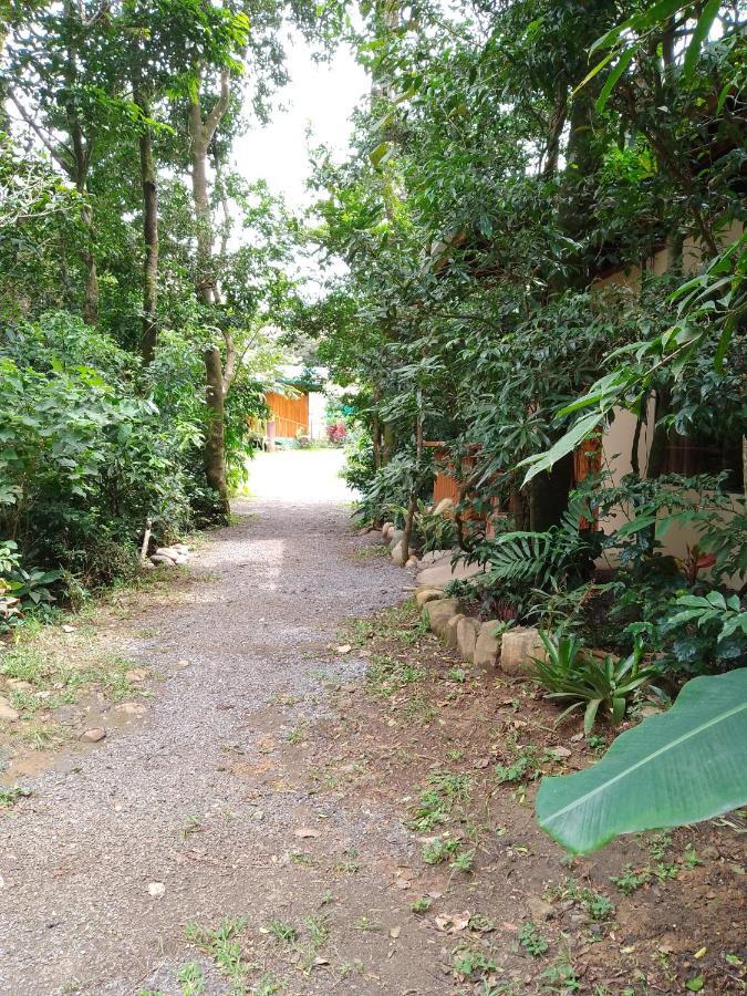 Casitas Del Bosque Monteverde. エクステリア 写真