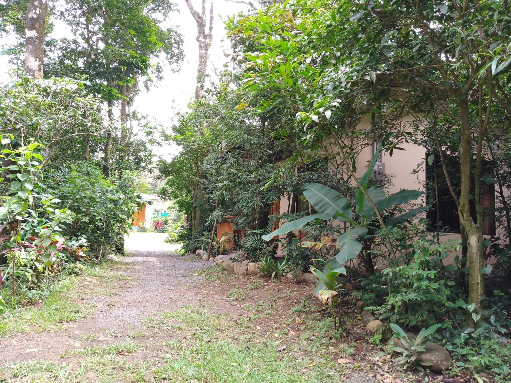 Casitas Del Bosque Monteverde. 部屋 写真